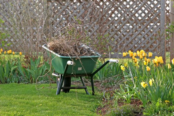 Flower Bed Cleanup Service in Sparks