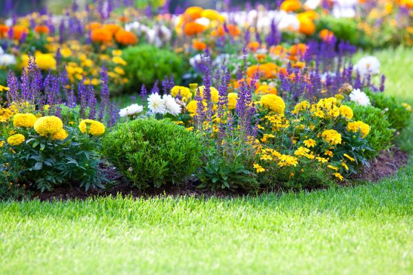 Flower Bed Maintenance in Sparks