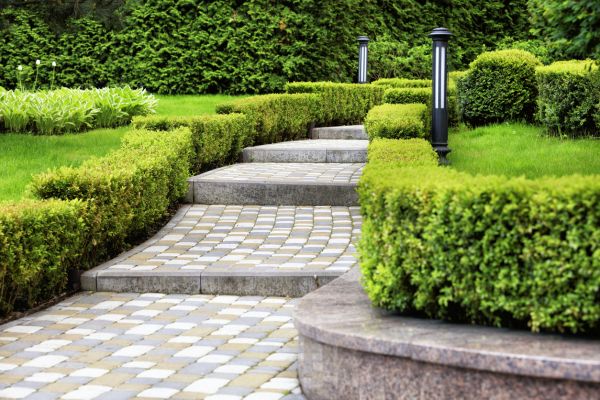 Backyard Remodeling in Sparks