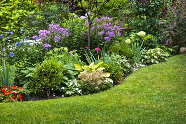 Flower Bed Service in Sparks