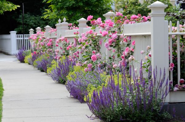 Garden Handyman Service in Sparks