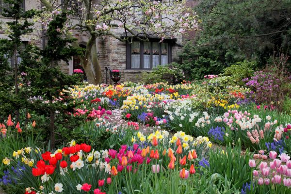 Garden Maintenance Service in Sparks