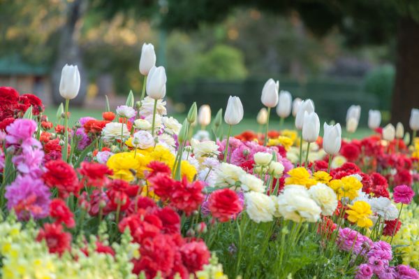 Gardening Service in Sparks