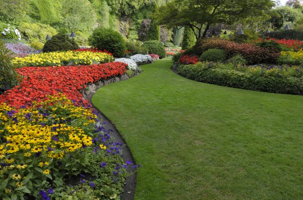 Landscaping Maintenance in Sparks