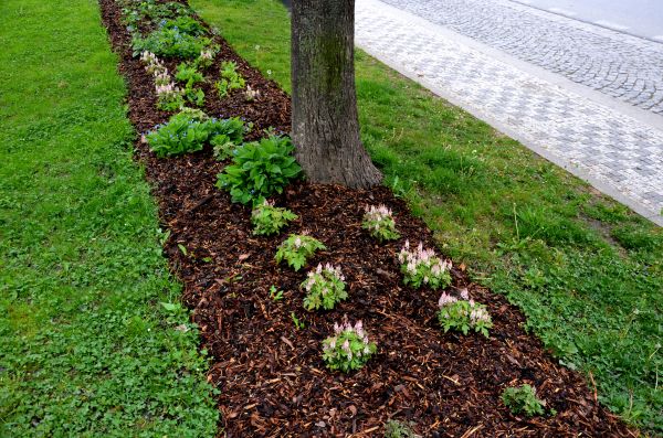 Mulch Replacement Service in Sparks