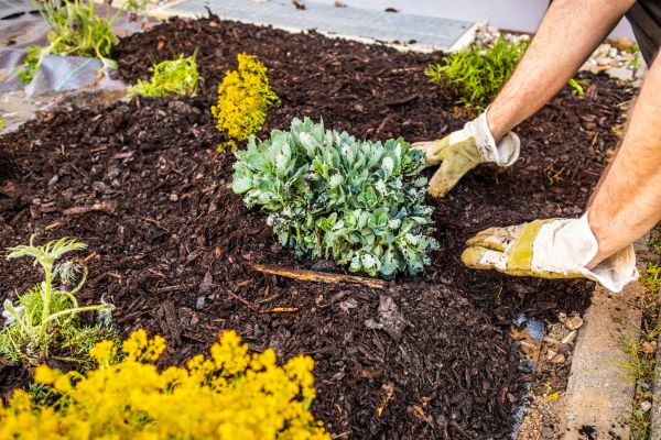 Weeding And Mulching in Sparks