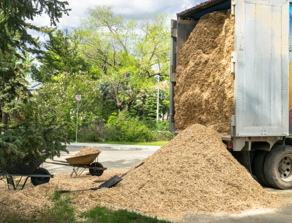 Wood Chips Delivery in Sparks