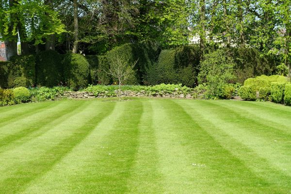Lawn Renovation in Sparks