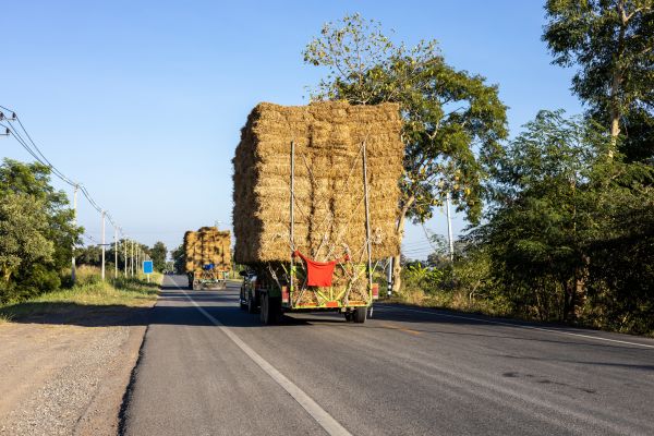 Pine Straw Delivery in Sparks