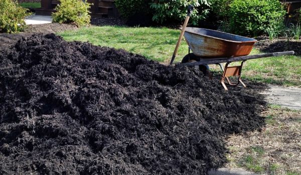 Black Mulch Delivery in Sparks