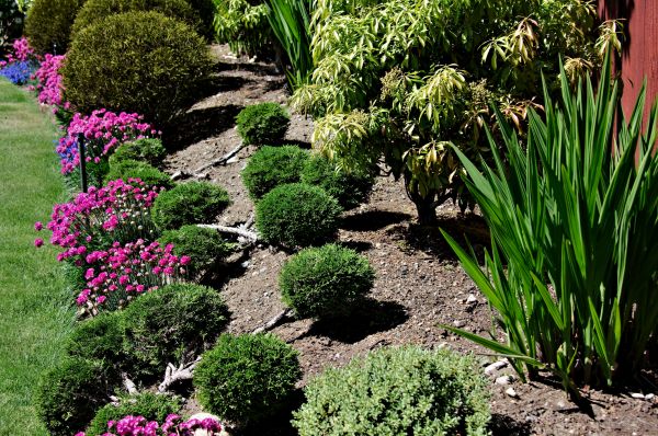 Residential Gardening in Sparks