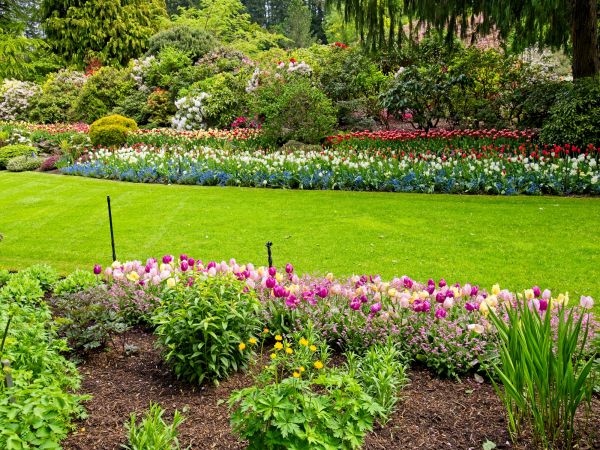 Residential Landscape Design in Sparks