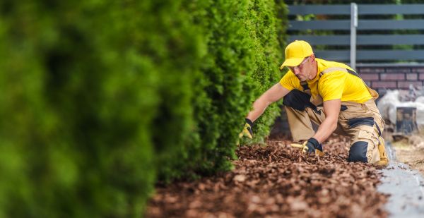 Cypress Mulch Installation in Sparks