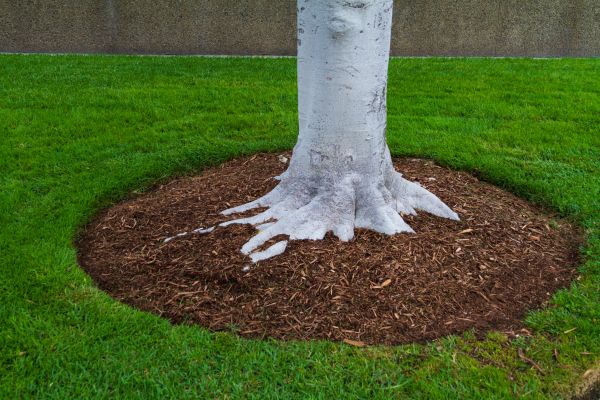 Brown Mulch Installation in Sparks