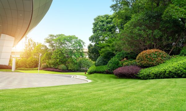Business Landscape Design in Sparks