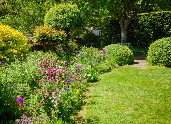 Yard Landscaping Service in Sparks