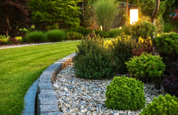 Landscaping Service in Sparks