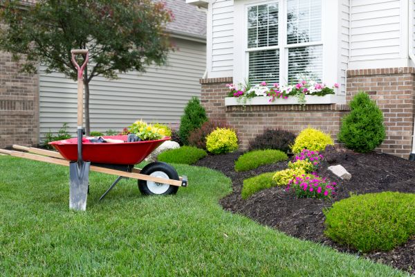 Tree And Shrub Planting in Sparks