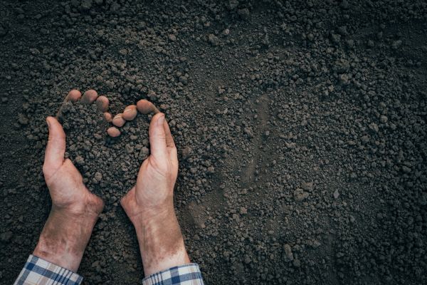 Soil Installation in Sparks
