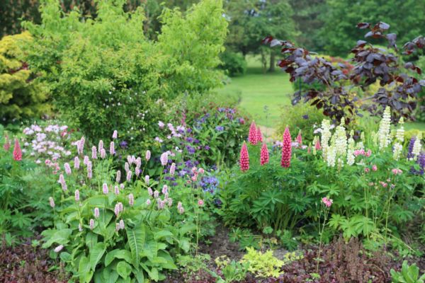 Flower Bed Planting in Sparks