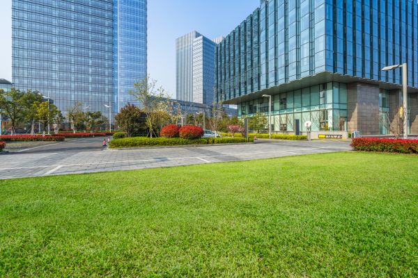 Industrial Landscaping Service in Sparks