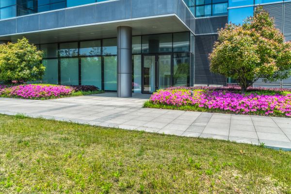 Commercial Gardening in Sparks
