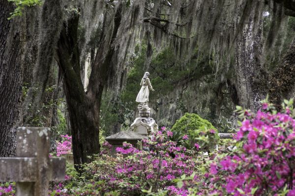 Cemetery Landscaping in Sparks