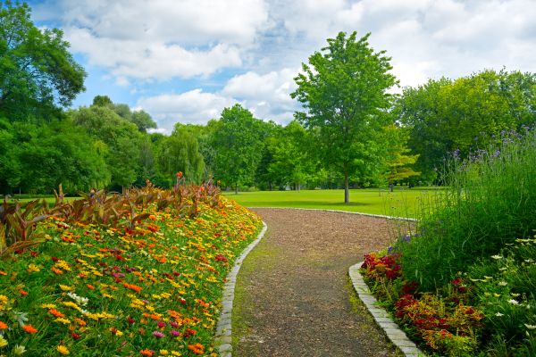 Park Landscaping in Sparks