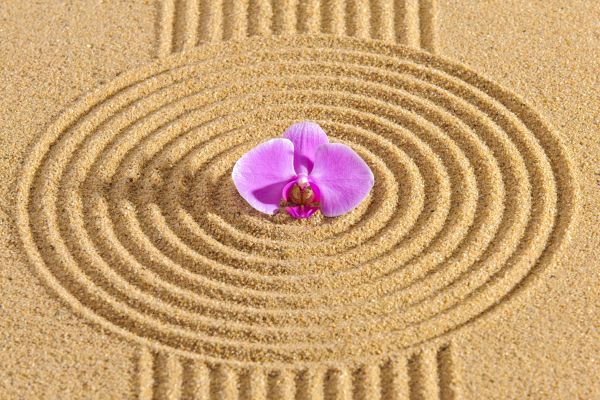 Sand Garden Landscaping in Sparks