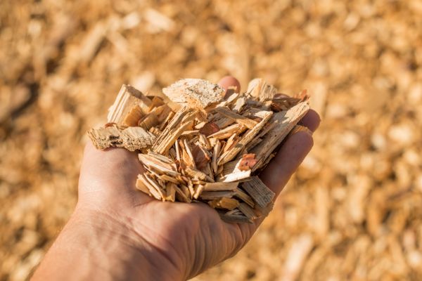 Wood Chips Spreading in Sparks