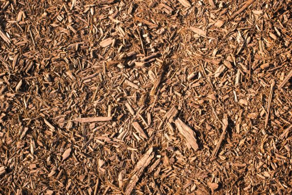 Wood Chips Removal in Sparks