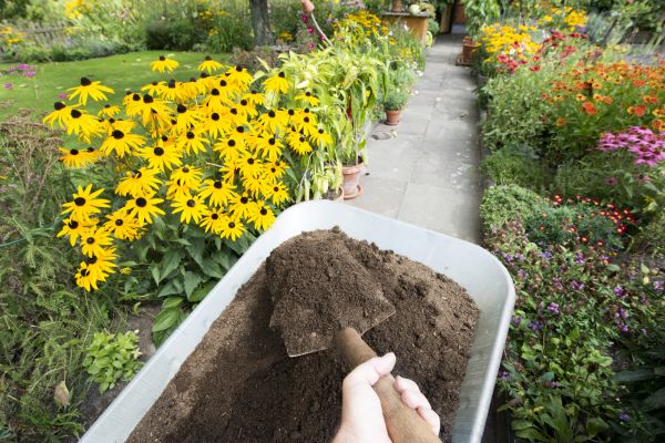 Topsoil Replacement in Sparks