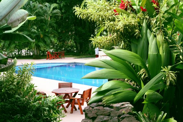 Pool Area Landscaping in Sparks