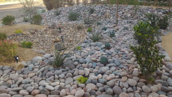 Yard Xeriscaping in Sparks