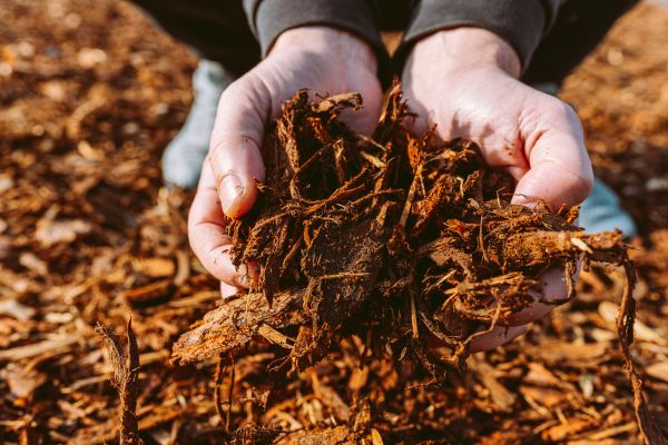 Bark Chips Delivery in Sparks