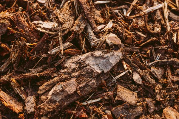 Bark Mulch Delivery in Sparks