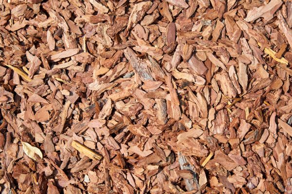 Pine Mulch Delivery in Sparks