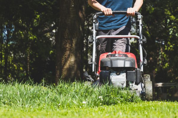 Garden Trimming Service in Sparks