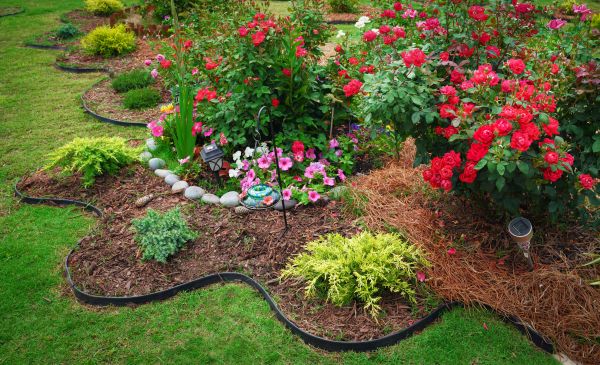 Floral Landscaping in Sparks