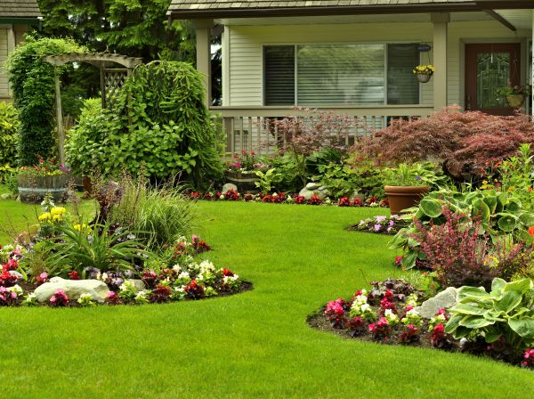 Flower Garden Planting in Sparks