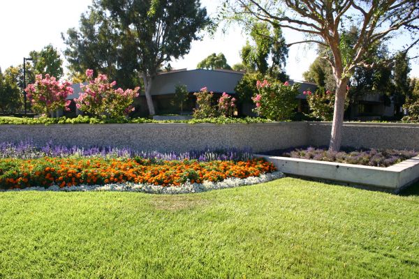 Commercial Landscape Service in Sparks