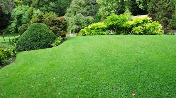 Commercial Landscape Design in Sparks