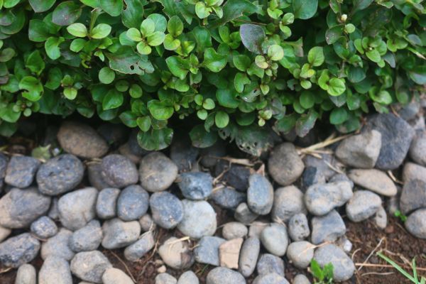 River Stone Installation in Sparks