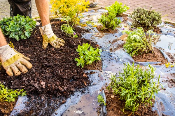 Mulch Fabric Installation in Sparks