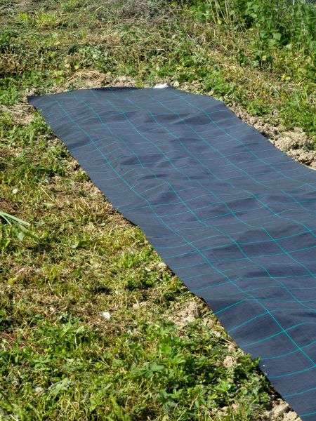 Weed Suppressant Installation in Sparks