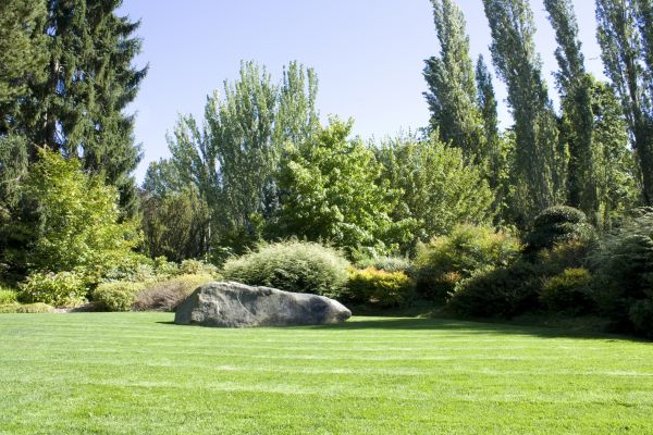 Yard Enlargement in Sparks