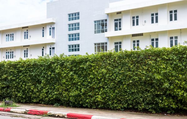 Privacy Landscaping in Sparks