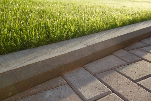 Lawn Edging Replacement in Sparks