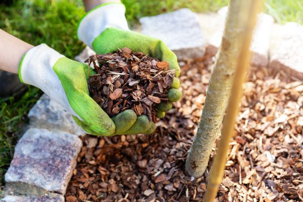 Tree Bark Delivery in Sparks