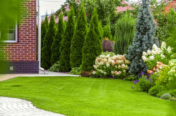 Spring Landscaping in Sparks